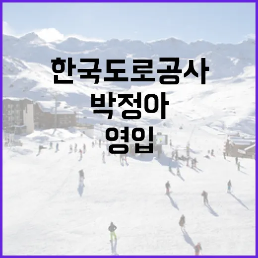 한국도로공사가 박정아를 영입한 이유와 그 의미 - 요약