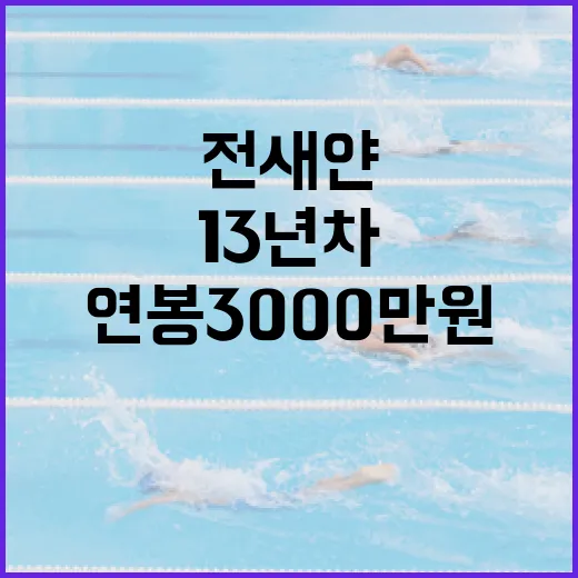 전새얀처럼 13년 차에 연봉 3000만 원 받는 방법 - 요약
