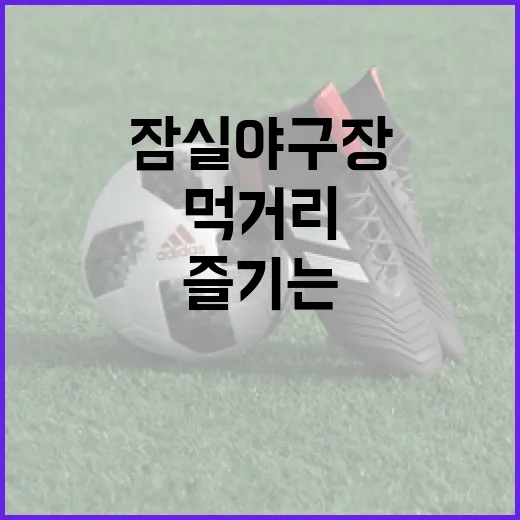 잠실야구장에서 먹거리를 즐기는 방법 - 요약