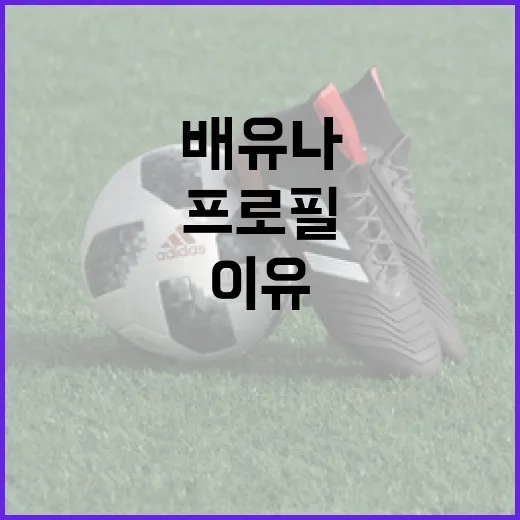 배유나 프로필과 그녀가 성공한 이유 - 요약