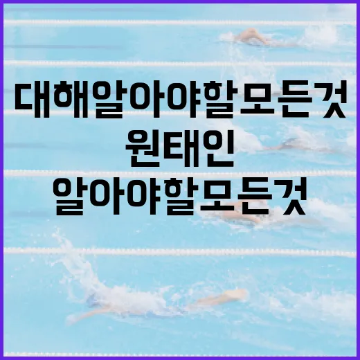 원태인에 대해 알아야 할 모든 것 - 요약