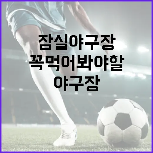 잠실야구장에서 꼭 먹어봐야 할 먹거리 가이드 - 요약