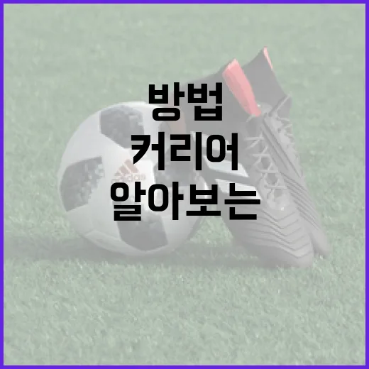 배유나의 삶과 커리어에 대해 알아보는 방법 - 요약