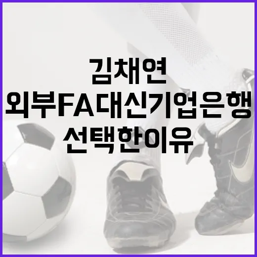 김채연 선수가 외부 FA 대신 기업은행을 선택한 이유 - 요약