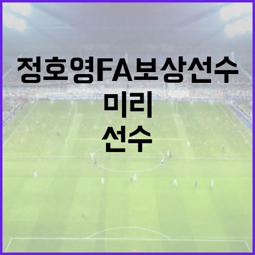 정호영 FA 보상선수를 미리보는 방법 - 요약