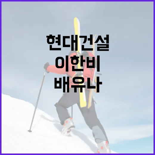 현대건설 선수 연봉 삭감: 이한비와 배유나 사례를 통해 배우는 방법 - 요약