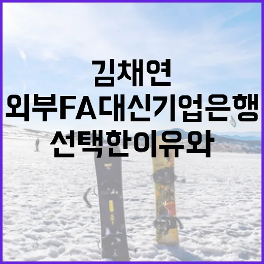 김채연이 외부FA 대신 기업은행을 선택한 이유와 그 의미 - 요약