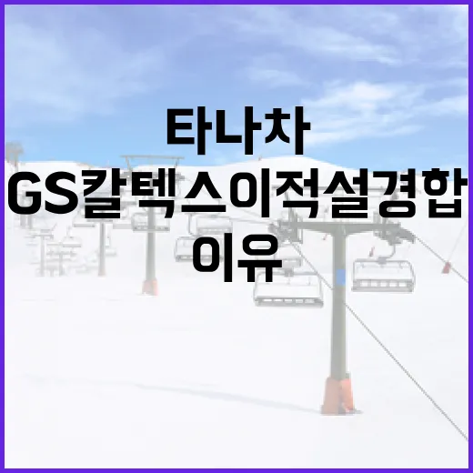 타나차, GS칼텍스 이적설 경합 중인 이유와 그 영향 - 요약