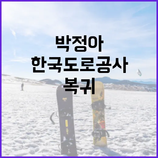 박정아가 한국도로공사에 복귀한 이유와 그 배경 - 요약