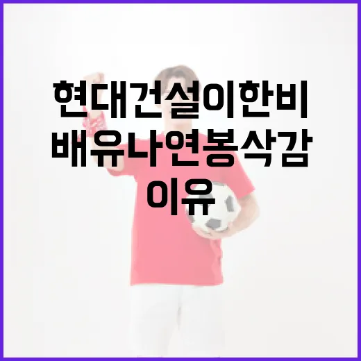 현대건설 이한비와 배유나 연봉 삭감 소식과 그 이유 알아보기 - 요약