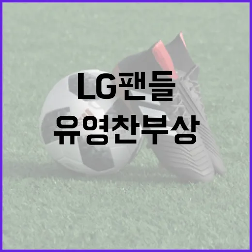 유영찬 부상 이슈에 대한 LG 팬들의 반응과 대처 방법 - 요약