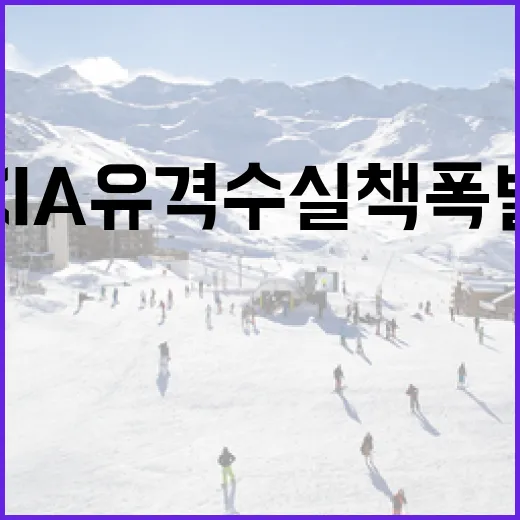 KIA 유격수 실책 폭발을 막는 방법 - 요약