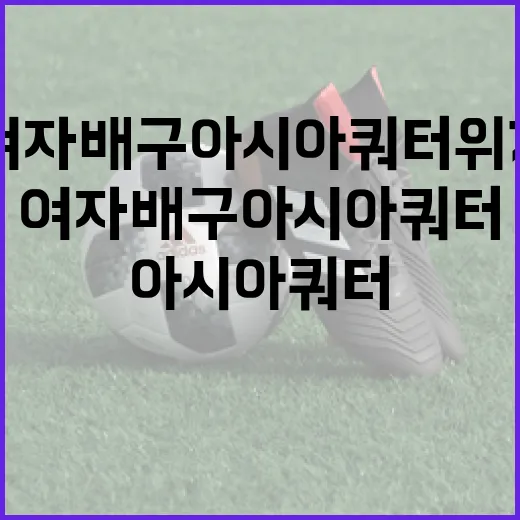 여자배구 아시아쿼터 위기를 극복하는 방법 - 요약