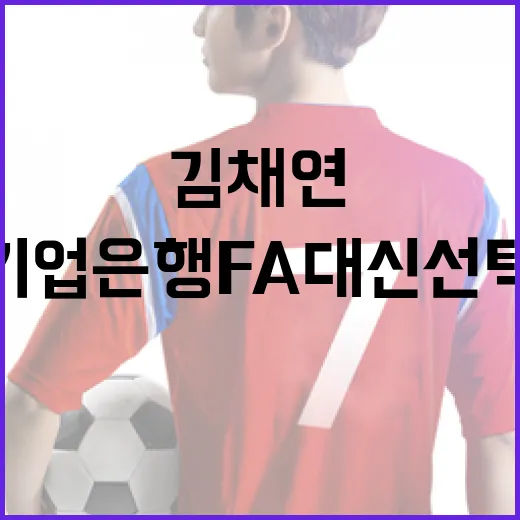김채연을 통해 보는 기업은행 FA 대신 선택하는 방법 - 요약
