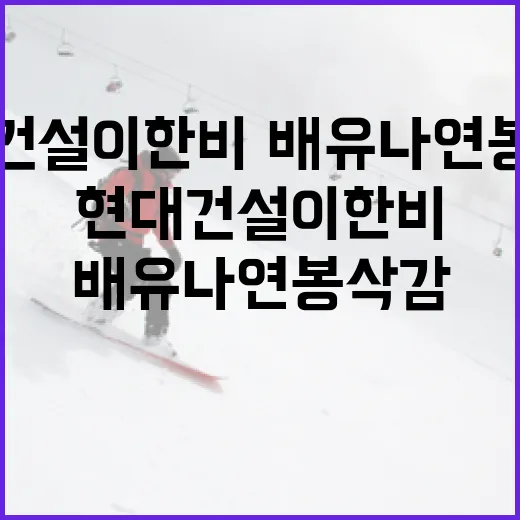 현대건설 이한비·배유나 연봉 삭감 사태 이해하는 방법 - 요약