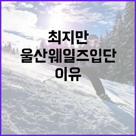 최지만의 울산 웨일즈 입단 이유와 그 의미 - 요약