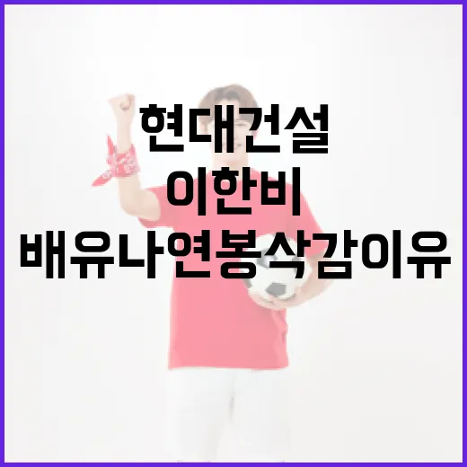 현대건설의 이한비·배유나 연봉 삭감 이유를 이해하는 방법 - 요약