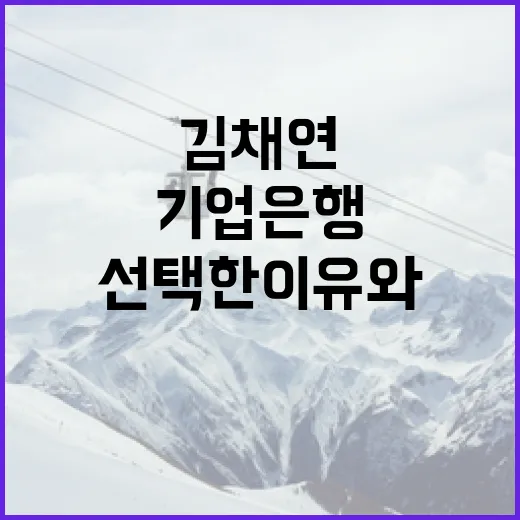 김채연이 기업은행을 선택한 이유와 그 혜택 알아보기 - 요약