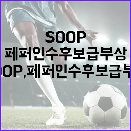 SOOP, 페퍼 인수 후보 급부상: 알차게 이해하는 방법 - 요약
