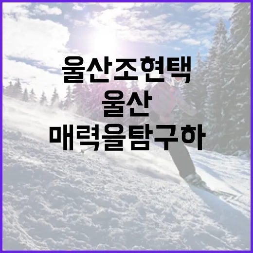 울산 조현택의 매력을 탐구하는 방법 - 요약