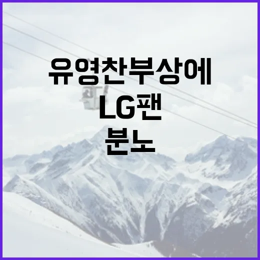 유영찬 부상에 분노한 LG 팬들을 위한 대처 방법 - 요약