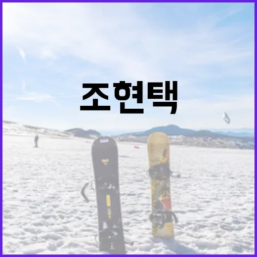 조현택을 이해하고 활용하는 방법 - 요약