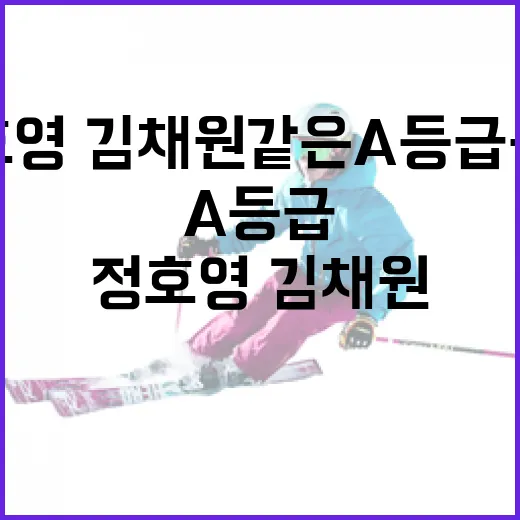 정호영·김채원 같은 A등급 논란을 이해하는 방법 - 요약