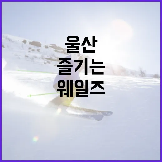 울산 웨일즈를 제대로 즐기는 방법 - 요약