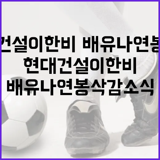 현대건설 이한비·배유나 연봉 삭감 소식을 이해하는 방법 - 요약