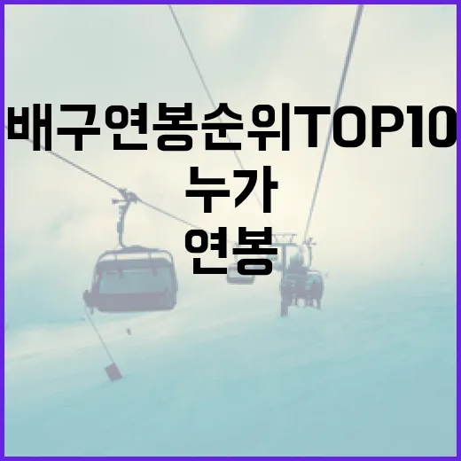여자배구 연봉순위 TOP10 공개: 어떻게 결정되고, 누가 포함되었나? - 요약