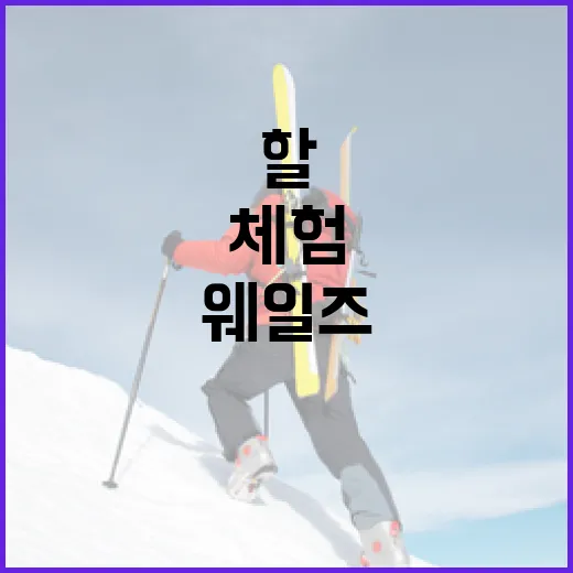 울산 웨일즈를 탐험하는 방법: 놓치지 말아야 할 명소와 체험들 - 요약