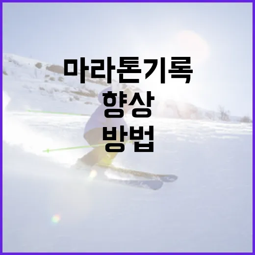 마라톤 기록을 향상시키는 방법 - 요약