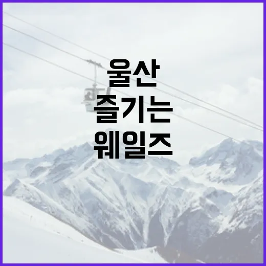 울산 웨일즈를 제대로 즐기는 방법 - 요약