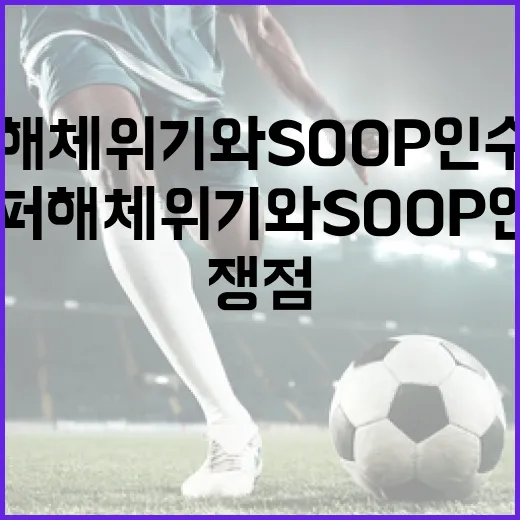 페퍼 해체 위기와 SOOP 인수 쟁점 이해하기 - 요약