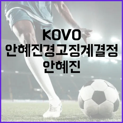 KOVO의 안혜진 경고 징계 결정 이해하기 - 요약