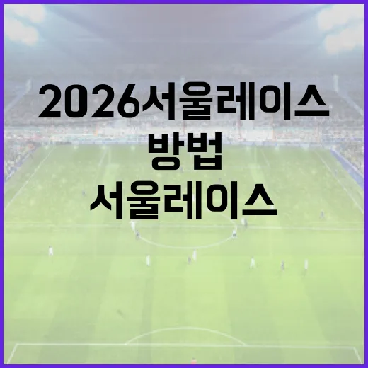 2026 서울레이스를 준비하는 방법 - 요약