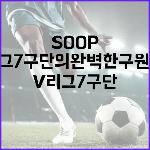 SOOP와 V리그 7구단의 완벽한 구원투수 역할을 하는 방법 - 요약