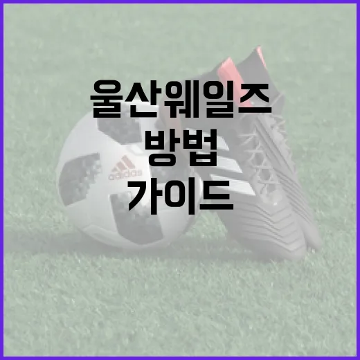 울산 웨일즈를 즐기는 방법: 초보자를 위한 가이드 - 요약