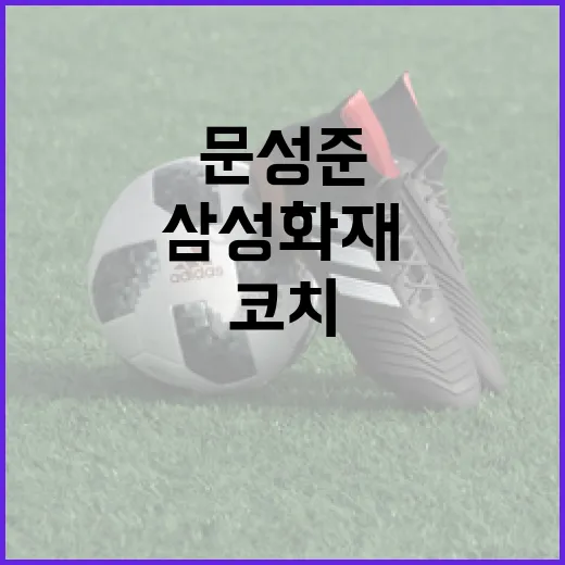 문성준 코치가 삼성화재에 합류하는 방법 - 요약