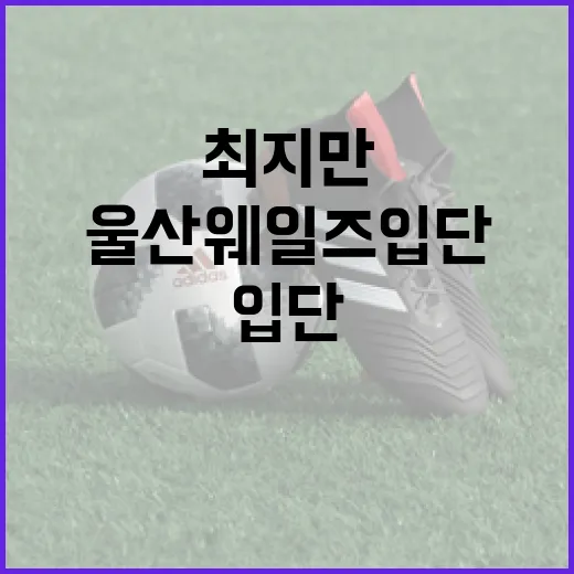 최지만의 울산 웨일즈 입단 소식과 기대되는 점 - 요약