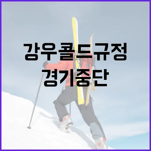 KBO 강우 콜드 규정 이해하기: 경기 중단 시나리오와 대처법 - 요약
