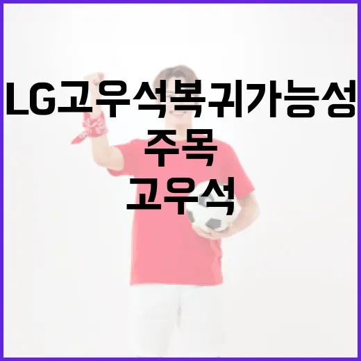 LG 고우석 복귀 가능성을 주목하는 방법 - 요약