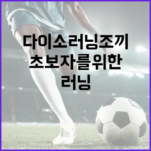 다이소 러닝조끼 구매 및 활용법: 초보자를 위한 가이드 - 요약