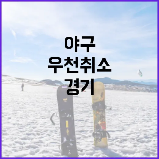 야구 경기의 우천 취소 기준을 이해하는 방법 - 요약