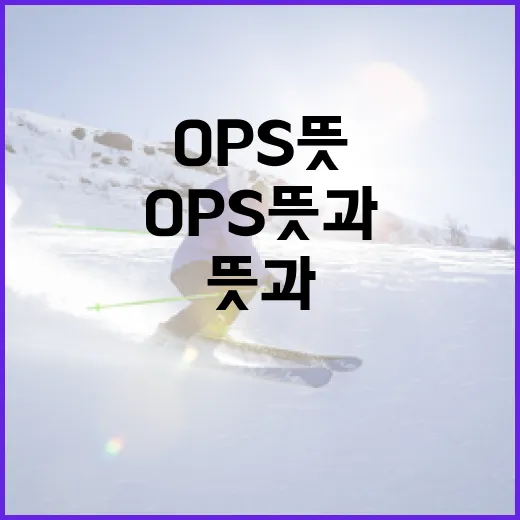 OPS 뜻과 활용 방법: 기초부터 알아보는 효율적인 운영 전략 - 요약