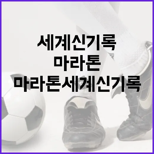 마라톤 세계 신기록을 알아보는 방법 - 요약