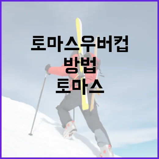 토마스 우버 컵을 이해하고 즐기는 방법 - 요약