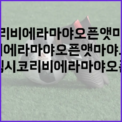 멕시코 리비에라 마야 오픈 앳 마야코바를 즐기는 방법 - 요약