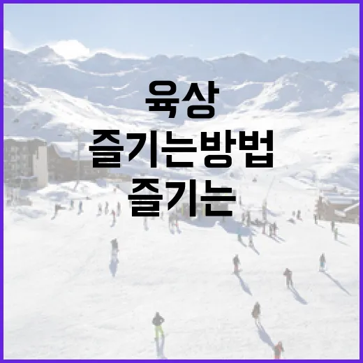 효율적으로 육상 이다원을 즐기는 방법 - 요약