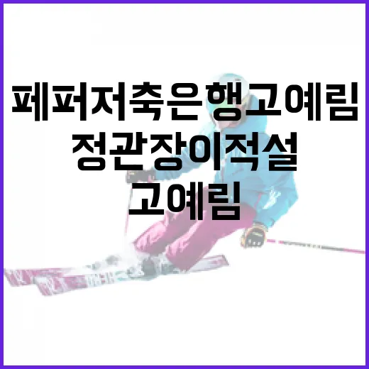 페퍼저축은행 고예림 선수의 정관장 이적설을 둘러싼 모든 것 - 요약